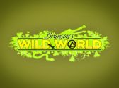 Branson's Wild World