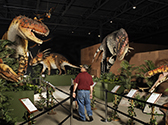 Branson Dinosaur Museum, Branson MO Shows (2)