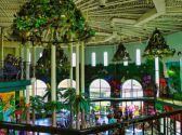 Butterfly Palace & Rainforest Adventure