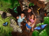 Butterfly Palace & Rainforest Adventure