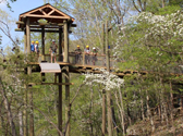 Branson Zipline at Wolfe Mountain