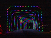 Trail of Lights