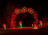Trail of Lights