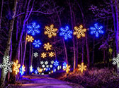 Trail of Lights