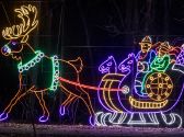 Lights of Joy Christmas Drive-Thru