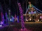 Lights of Joy Christmas Drive-Thru