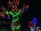 Lights of Joy Christmas Drive-Thru