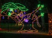 Lights of Joy Christmas Drive-Thru